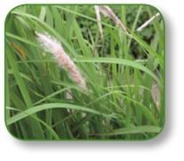 pagenumber_ebook=165,pagenumber_book=152