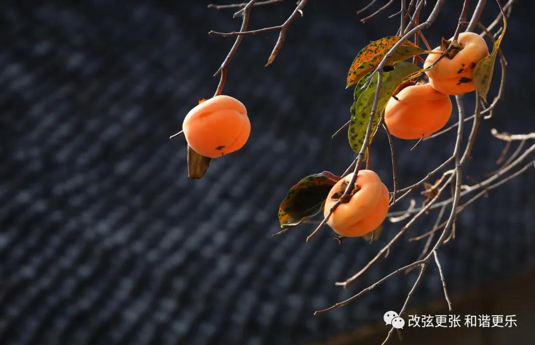 微信图片_20211008154518