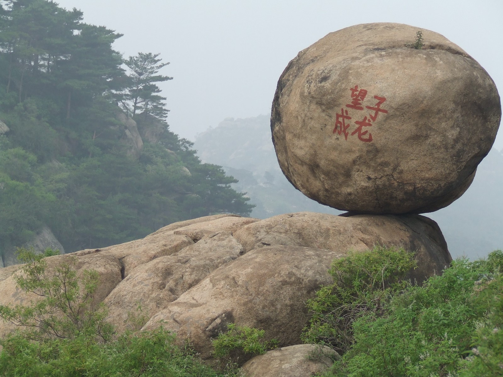 微信图片_20190515164324