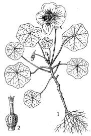 pagenumber_ebook=203,pagenumber_book=203