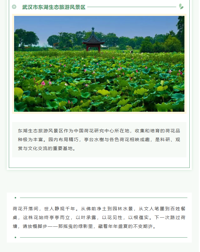 image.png?v=1766278434585