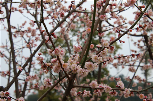 IMG_5740 IMG_5740.jpg