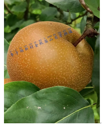 image image.png