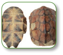 pagenumber_ebook=290,pagenumber_book=277