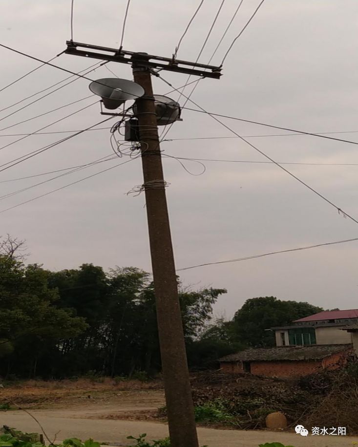 1 1.jpg?v=1765947712664