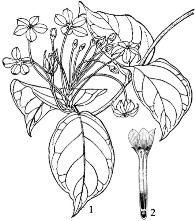 pagenumber_ebook=191,pagenumber_book=191