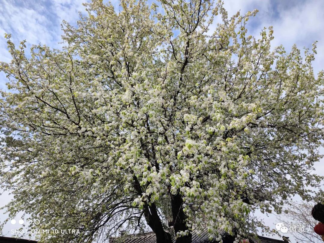 微信图片_20210406105859