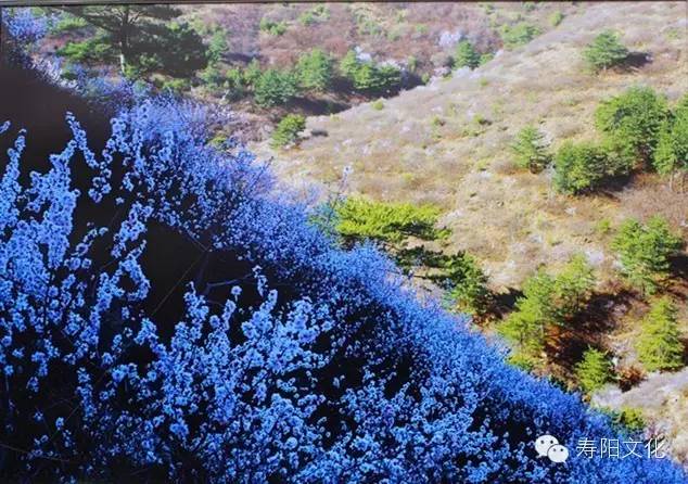 微信图片_20230329163207