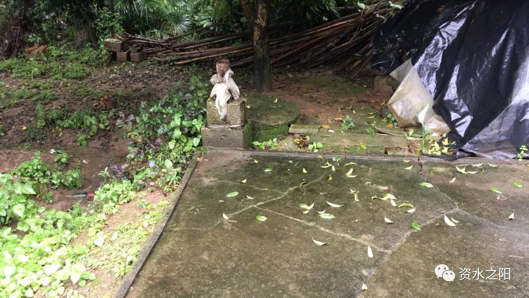 9 9.jpg?v=1765880721220