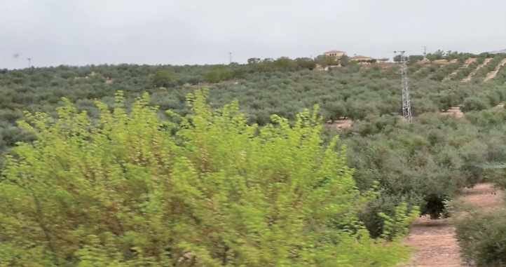 pagenumber_ebook=85,pagenumber_book=84