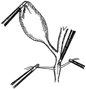 pagenumber_ebook=460,pagenumber_book=445