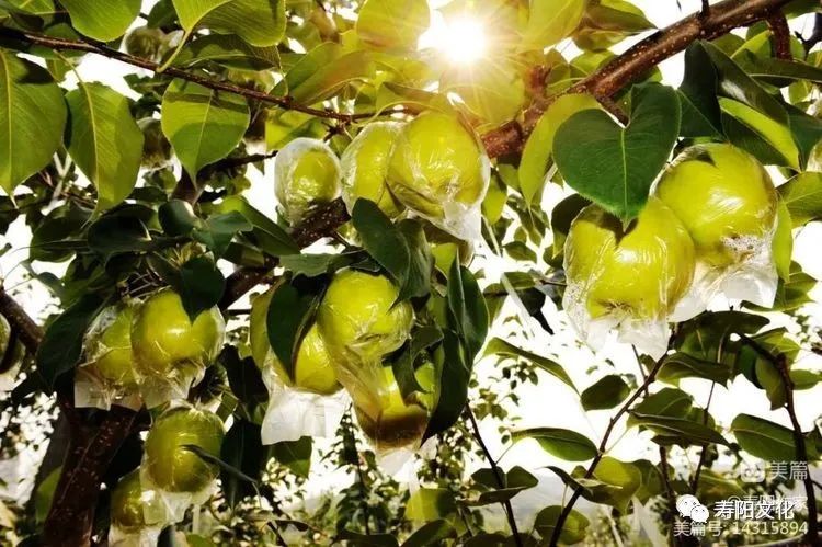 63767fbcb21f5d86124f94b060e9d802_640_wx_fmt=jpeg&wxfrom=5&wx_lazy=1&wx_co=1 63767fbcb21f5d86124f94b060e9d802_640_wx_fmt=jpeg&wxfrom=5&wx_lazy=1&wx_co=1.jpg