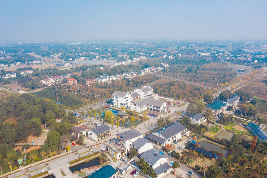 1 1.png?v=1765946443342