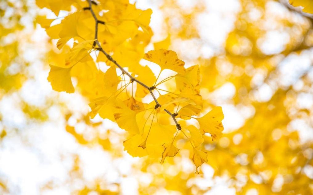 c17f16d86330c3da05c3a116cc08af3 c17f16d86330c3da05c3a116cc08af3.jpg