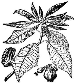 pagenumber_ebook=153,pagenumber_book=153