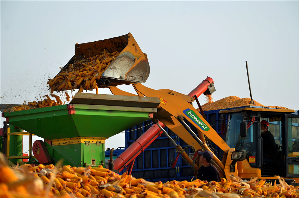 mmexport1635589477024