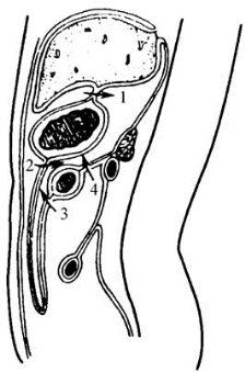 pagenumber_ebook=578,pagenumber_book=563