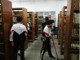 image image.png?v=1775719251201