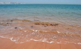 pagenumber_ebook=242,pagenumber_book=224