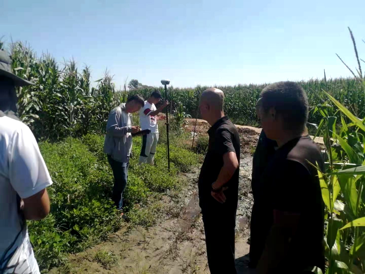 57a3c4659f9f1bef34b9c52ee7f86da 57a3c4659f9f1bef34b9c52ee7f86da.jpg