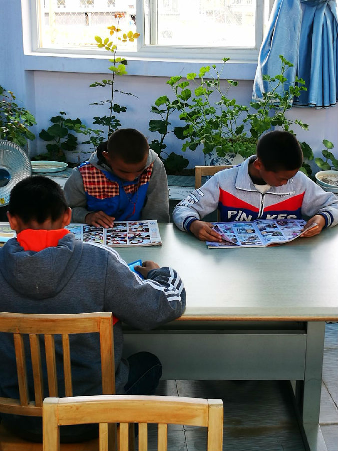 2.jpg?v=1765676834648