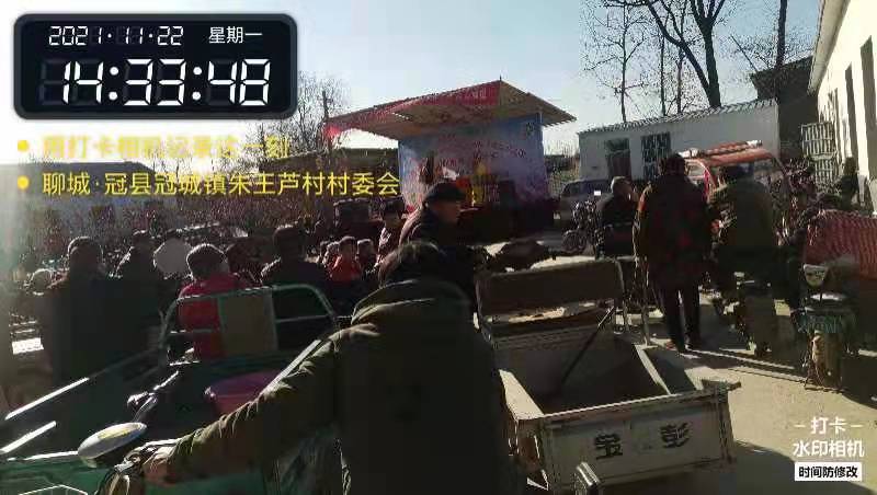 朱王芦 (2)