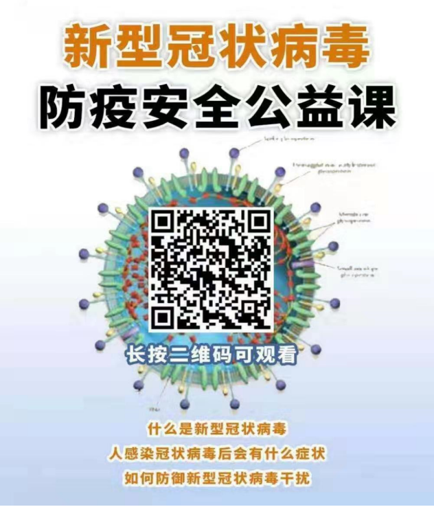 图片69 图片69.png?v=1774490094348