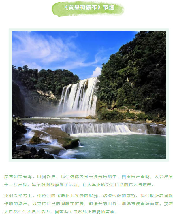 image.png?v=1751558967926