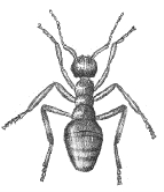 pagenumber_ebook=227,pagenumber_book=211