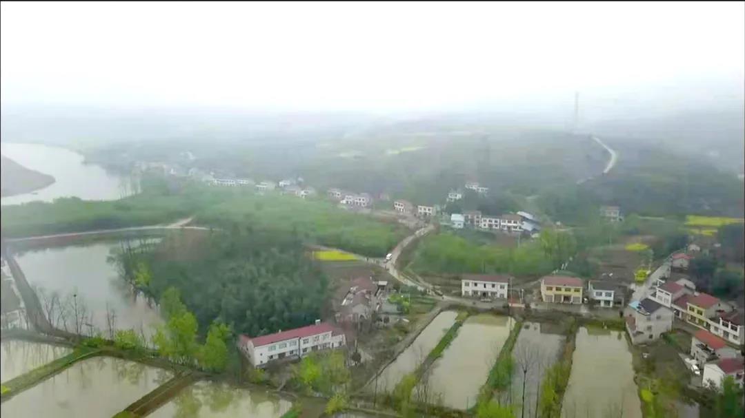 微信图片_20210323100418 微信图片_20210323100418.jpg