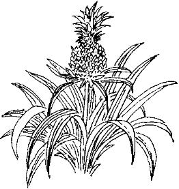 pagenumber_ebook=265,pagenumber_book=265