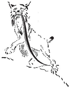 pagenumber_ebook=156,pagenumber_book=148