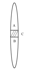 pagenumber_ebook=86,pagenumber_book=80