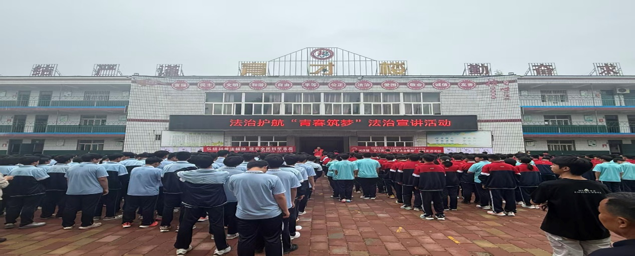 图片11