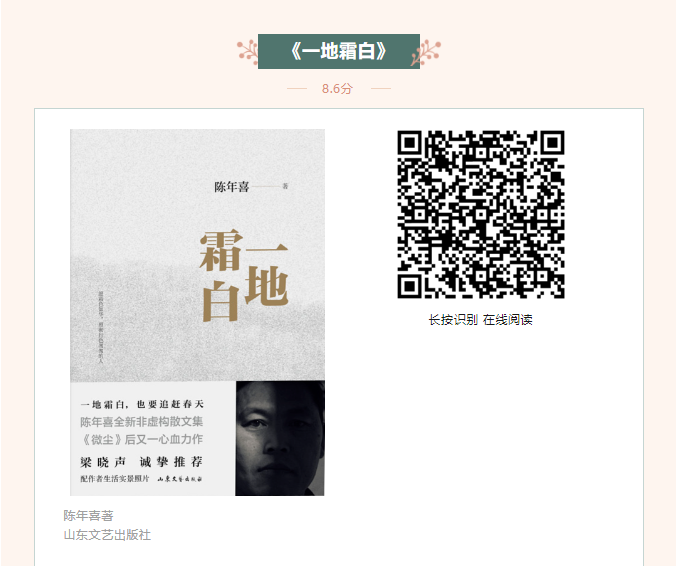 image image.png?v=1763590106222