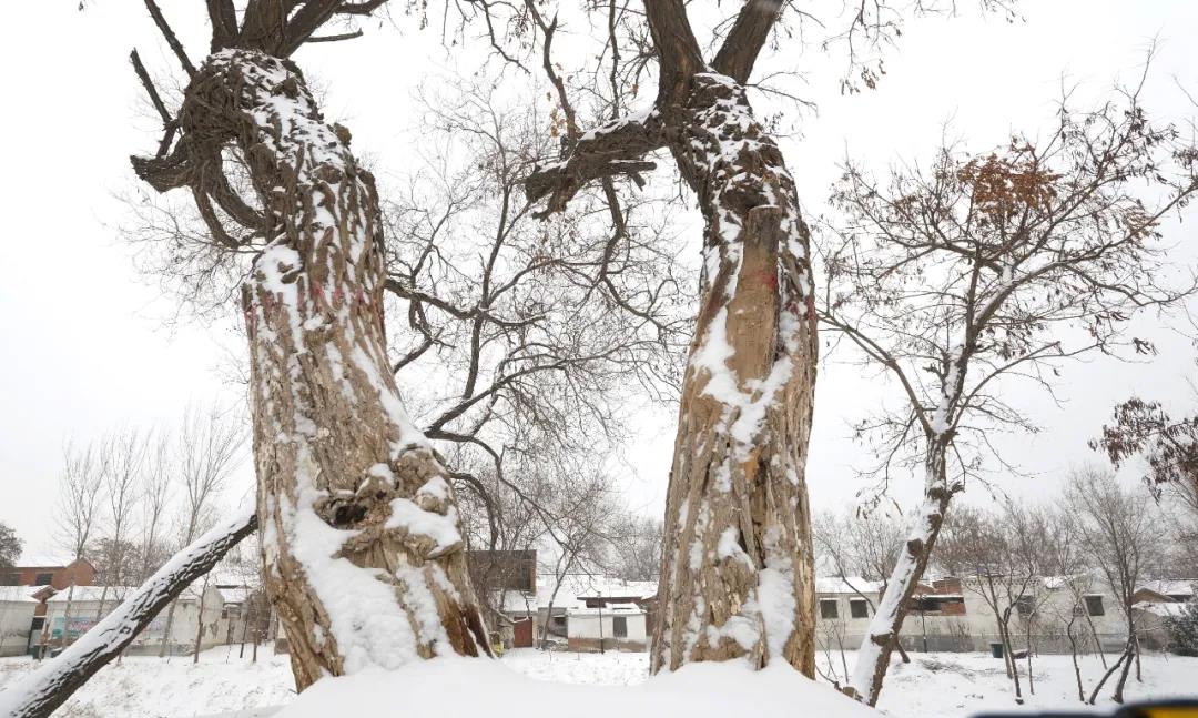 微信图片_20211128102332