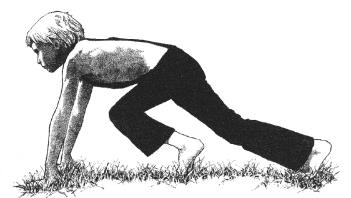 pagenumber_ebook=343,pagenumber_book=0