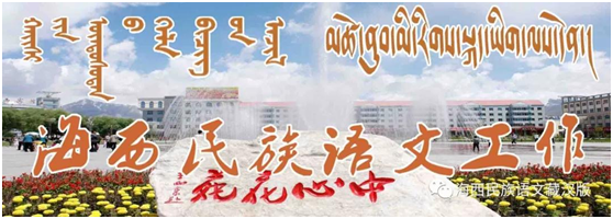 image image.png?v=1765701132360