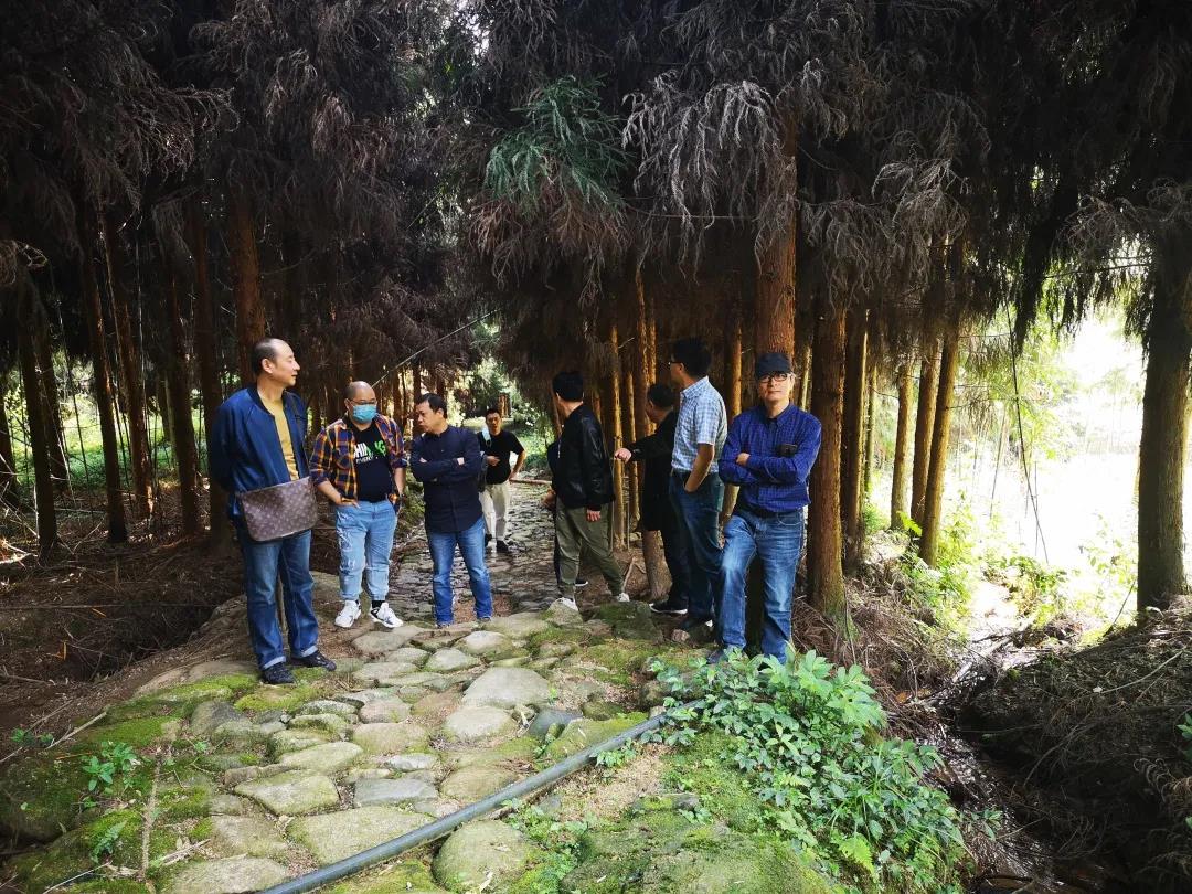 微信图片_20201204115944 微信图片_20201204115944.jpg