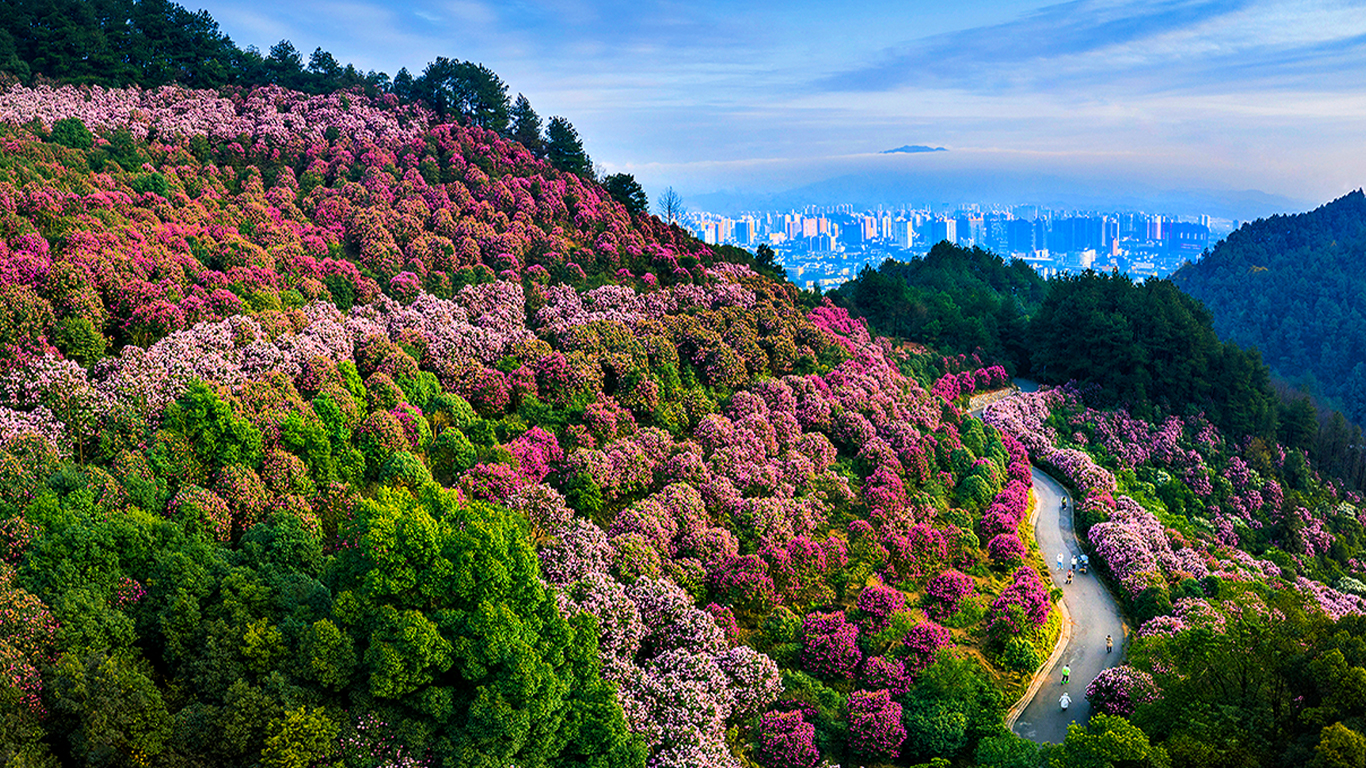 画板 1 画板 1.jpg