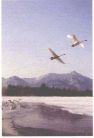 pagenumber_ebook=33,pagenumber_book=25