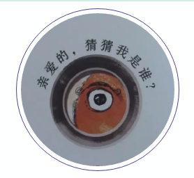 image image.png?v=1772873101879