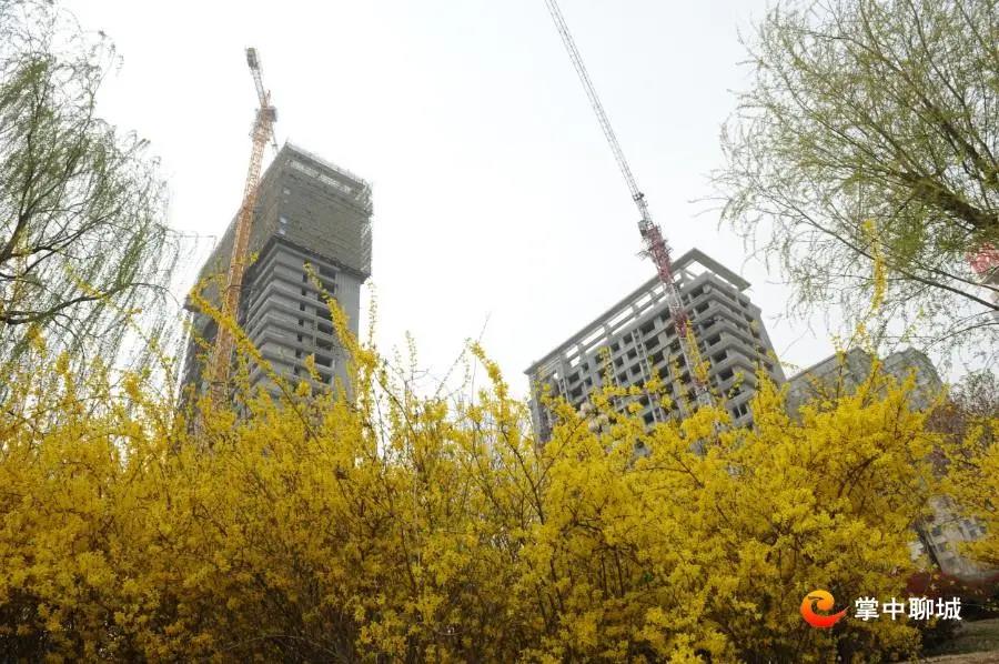 微信图片_20210324085118 微信图片_20210324085118.jpg