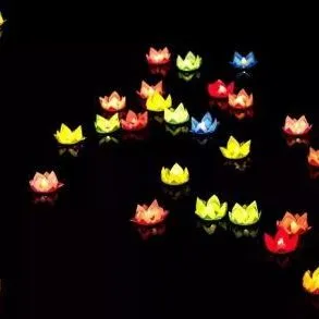 image image.png?v=1770180716921