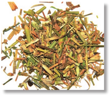 pagenumber_ebook=119,pagenumber_book=106