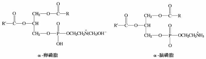 pagenumber_ebook=229,pagenumber_book=229