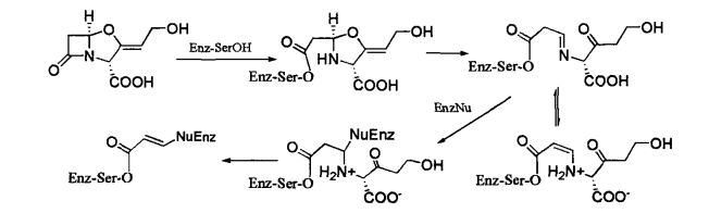 pagenumber_ebook=337,pagenumber_book=319