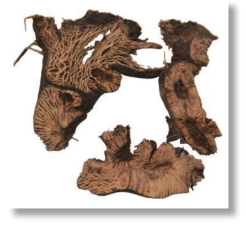 pagenumber_ebook=34,pagenumber_book=21