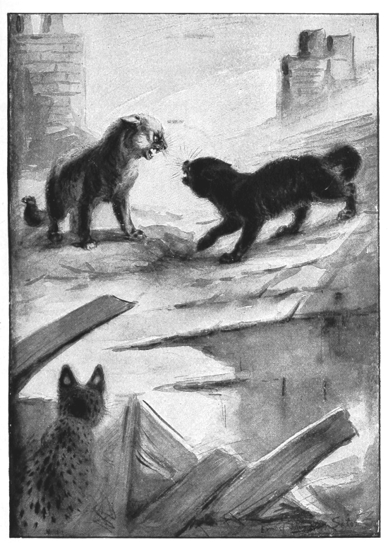 pagenumber_ebook=25,pagenumber_book=17