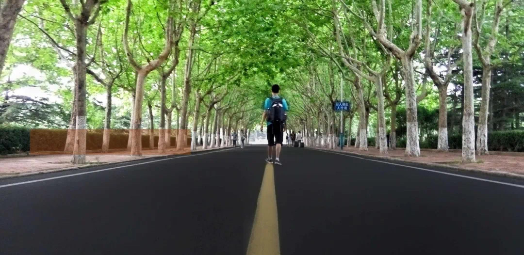 IMG_7571(20200827-102829) IMG_7571(20200827-102829).jpg?v=1765791084107